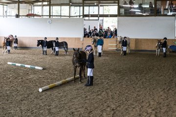 Bild 100 - Pony Akademie Turnier